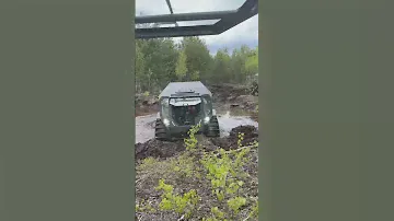 Шерп N на болоте #архант #шерп #вездеход #offroad #вездеходру #оффроад #болотоход