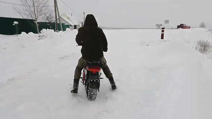 Скаут сафари 3L 8E