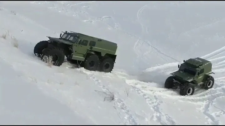 Сборник  видео от владельцев ХИЩНИКОВ