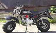 Вездеход Скаут-8 стриж, 125 куб.см., полу-автомат