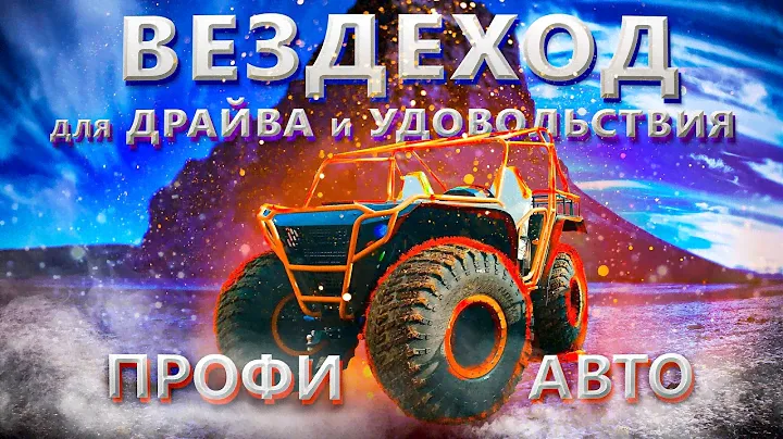 ПРОФИ АВТО (БАГГИ) краткий обзор.