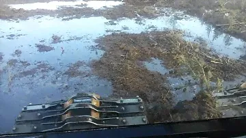 Болотоход