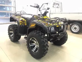 ЭЛЕКТРОКВАДРОЦИКЛ ВЕЗДЕХОД-04У 5000W