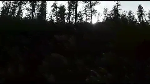 ГАЗ 71 ОТКАЗАЛИ ТОРМОЗА.ЖЕСТЬ!!!