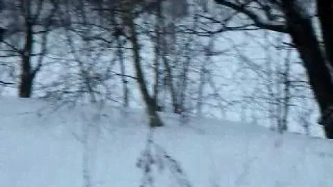 Трэкол 39294.AVI