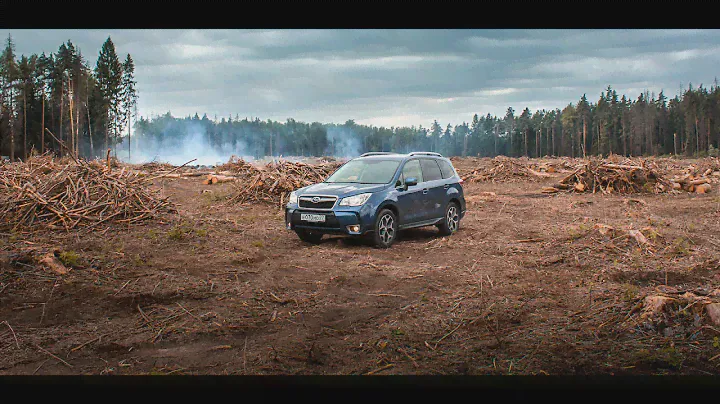Лесник и Subaru Forester