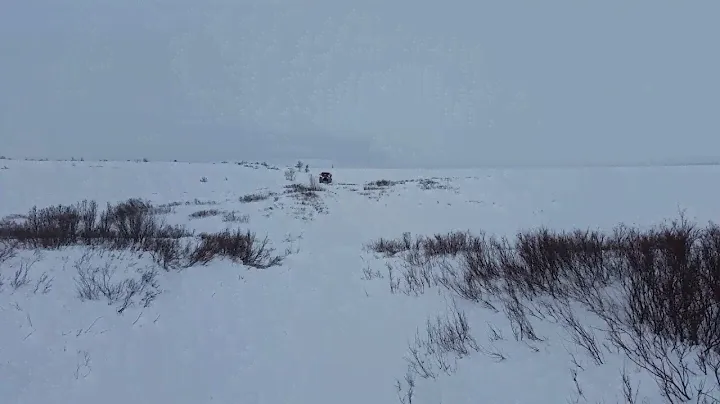 Terranica вездеход.