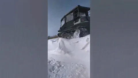 Тингер на глубоком снегу