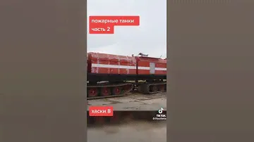 хаски 8
