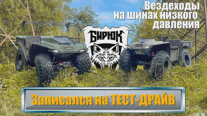 Решил испытать вездеходы Бирюк / Снегоболотоходы на шинах низкого давления