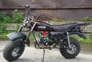 Вездеход Скаут-8 стриж, 90 куб.см., механика